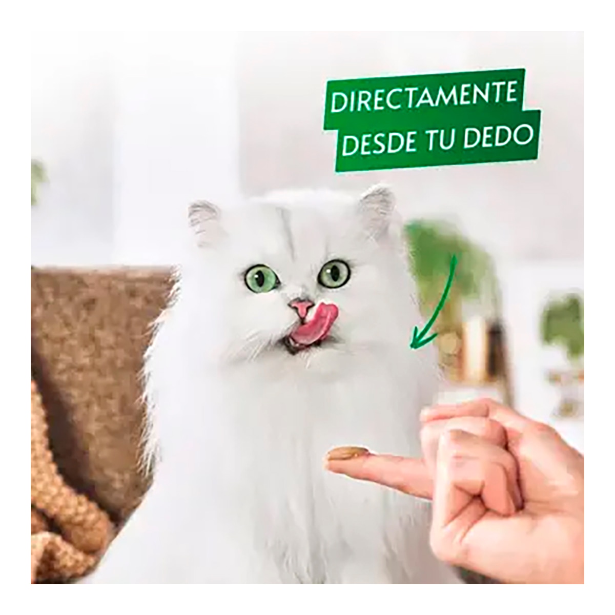 Snack para gatos adultos Purina Gourmet Nature's Creations puré con buey 5 x 10 g 8