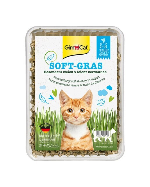 Hierba para gatos Gimcat Soft Gras 100 g
