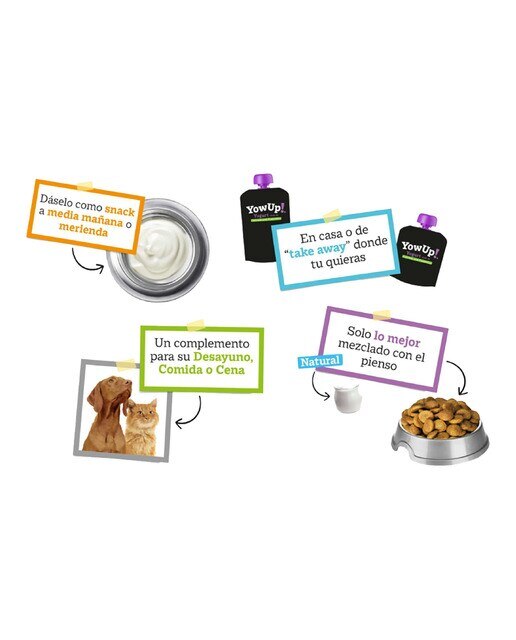 Yogur natural sin lactosa para gatos adultos Yow Up 85 g 2