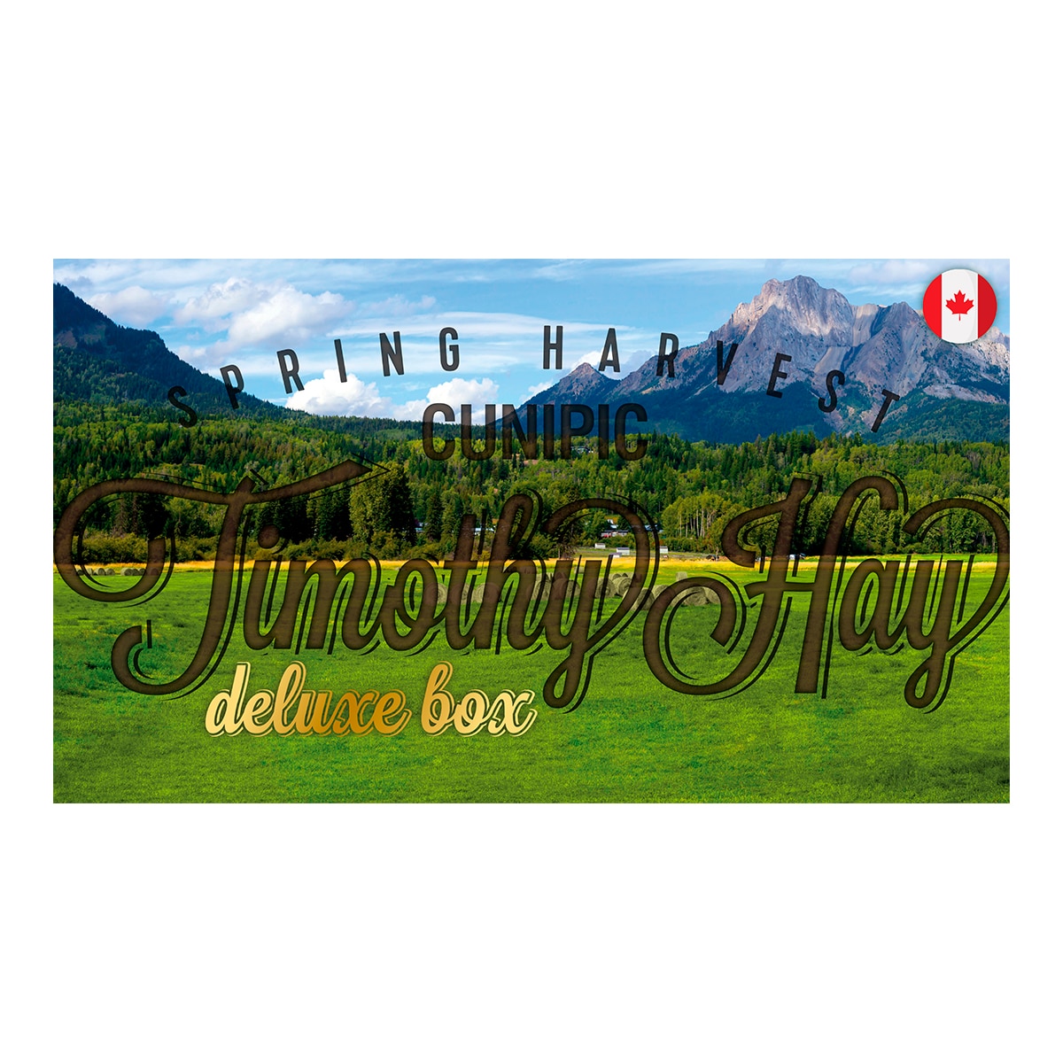 Imagen 3 de Heno Timothy para roedores adultos Cunipic Deluxe Box 2,25 kg