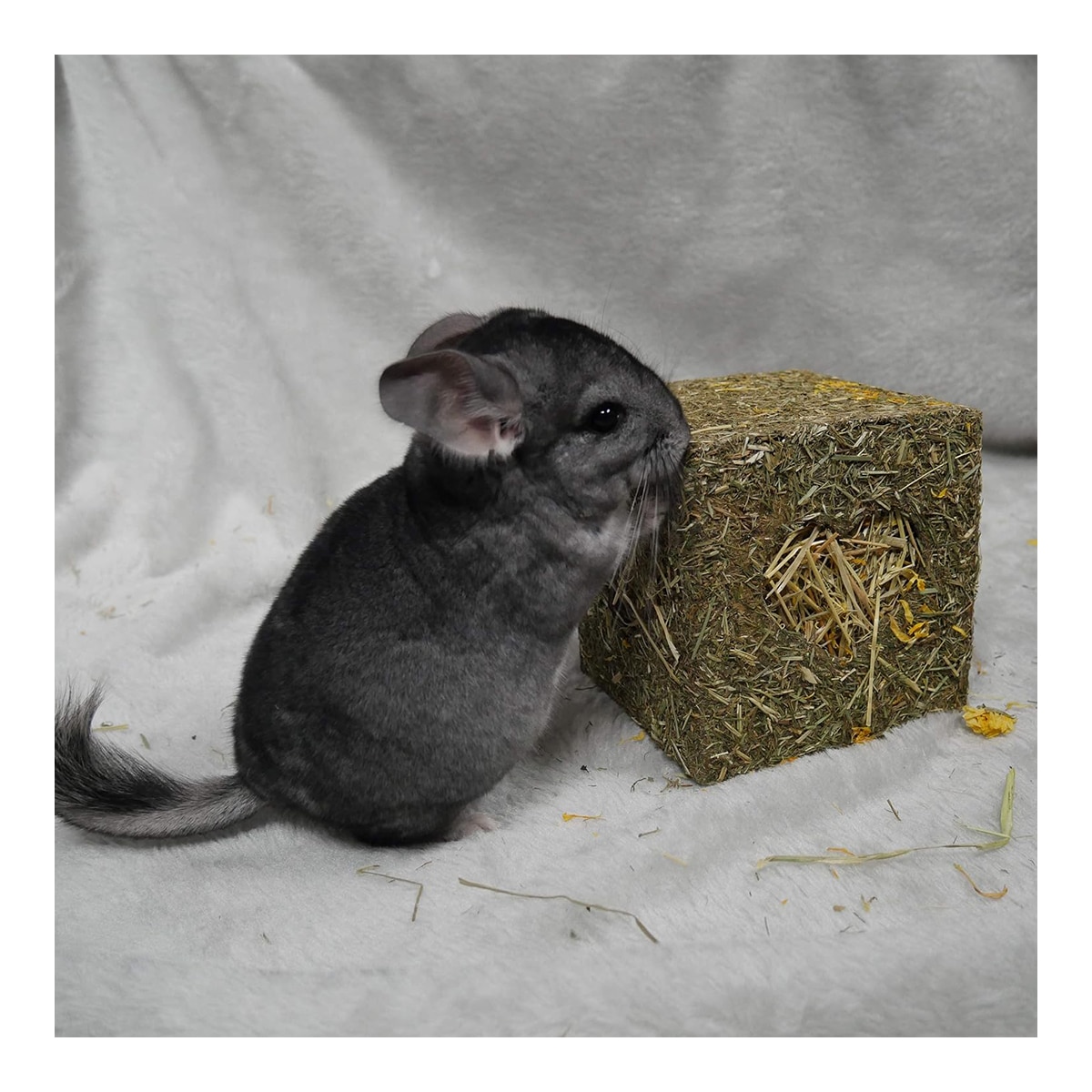 Imagen 6 de Comida para conejos y roedores adultos Rosewood heno de pradera 140 g
