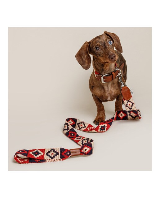 Imagen 3 de Correa Buddys para perros Peruvian Indian Rojo
