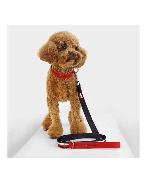 Correa Tommy Hilfiger para perros Rojo / Azul-2