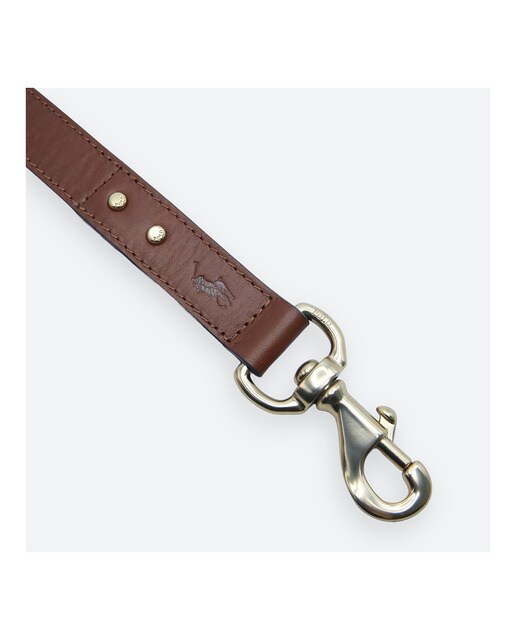 Correa Ralph Lauren para perros piel Marrón-3