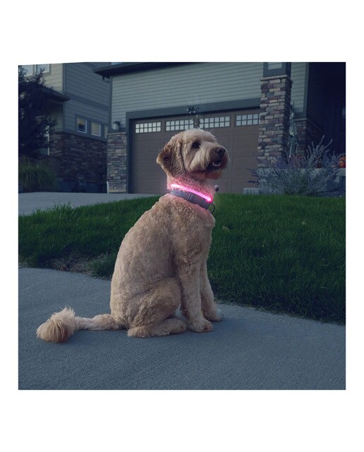Collar led recargable Nite Ize para perros Rosa-6
