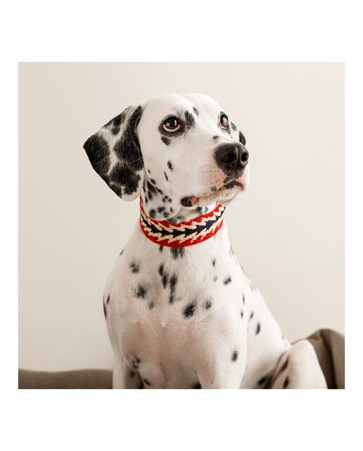 Imagen 3 de Collar Buddys para perros Peruvian Flecha Rojo