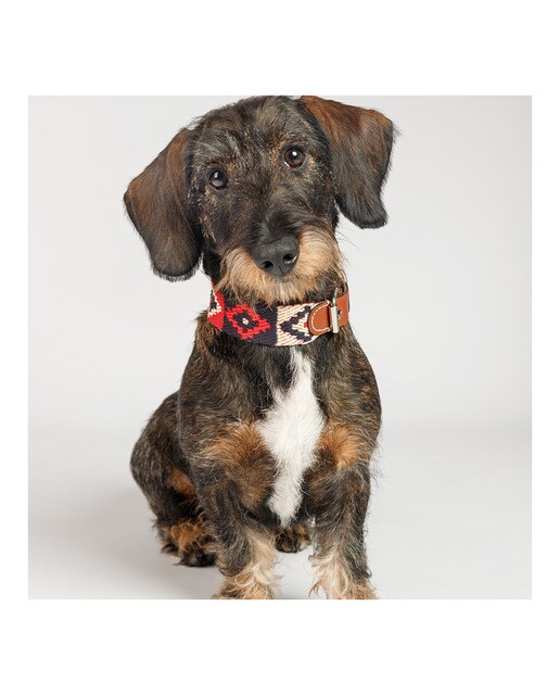 Imagen 3 de Collar Buddys para perros Peruvian Indian Rojo