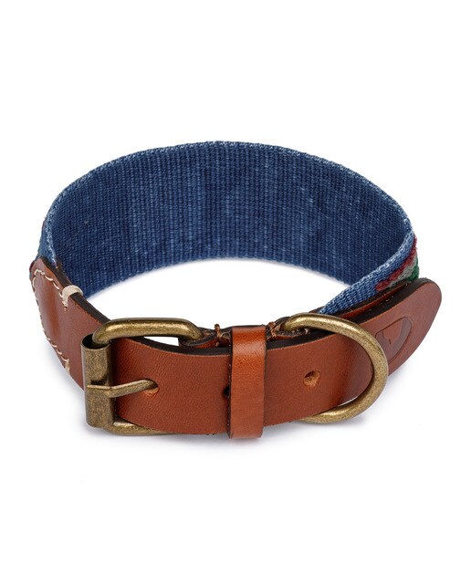 Imagen 2 de Collar Buddys para perros Etna Azul