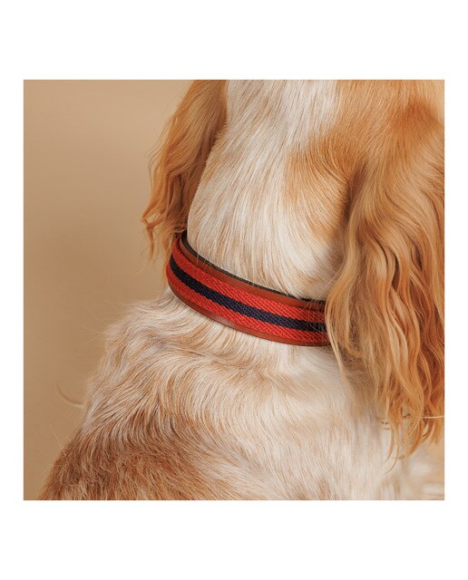 Imagen 3 de Collar Buddys para perros Baseball Rojo