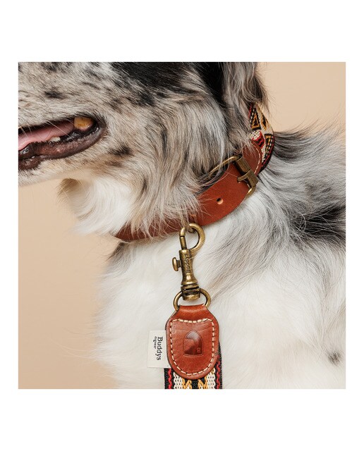 Imagen 3 de Collar Buddys para perros Peyote Rojo