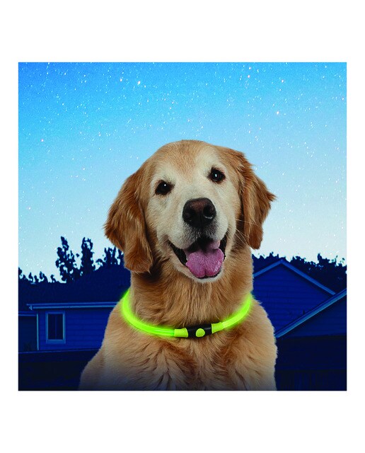 Collar luminoso Nize Ize para perros Nighthowl Verde-3