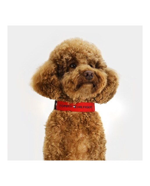 Imagen 4 de Collar Tommy Hilfiger para perros Rojo