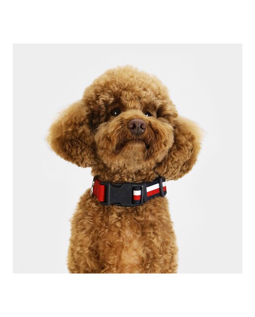 Imagen 5 de Collar Tommy Hilfiger para perros Rojo