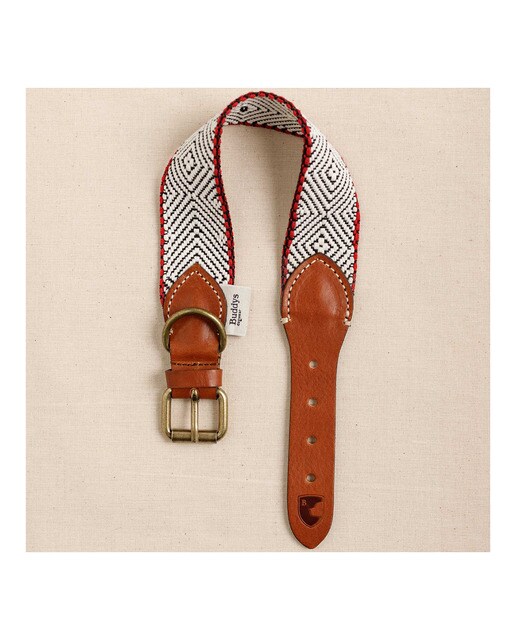 Imagen 3 de Collar Buddys para perros Capri Beach Day Beige / Marrón