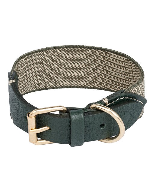 Buddys - Collar Buddys para perros James