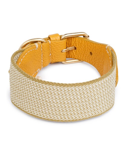 Imagen 2 de Collar Buddys para perros James Amarillo