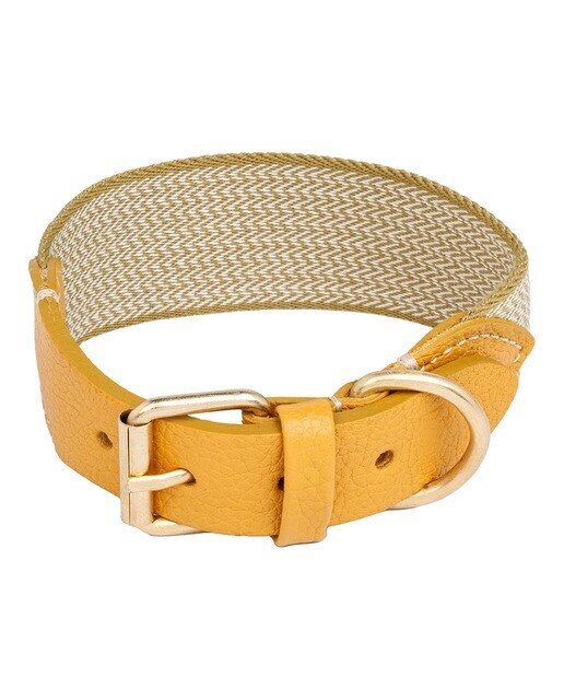 Buddys - Collar Buddys para perros James