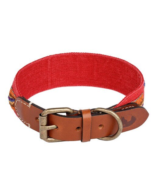 Buddys - Collar Buddys para perros Etna