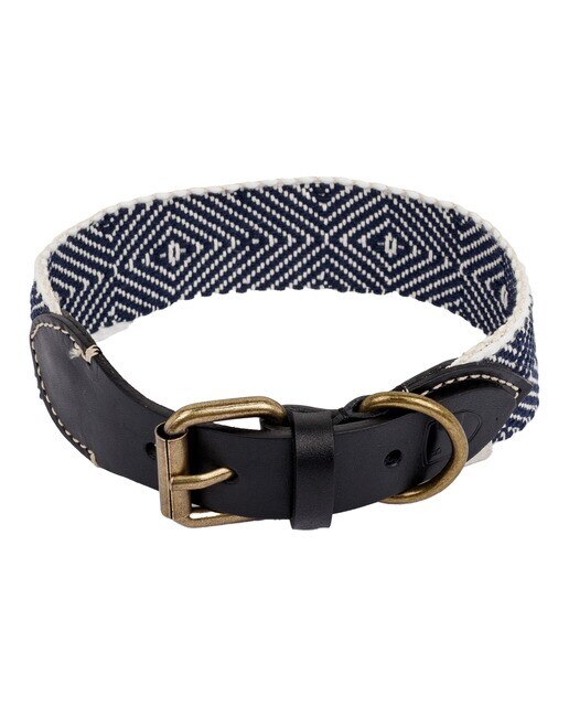 Buddys - Collar Buddys para perros Capri Party Night
