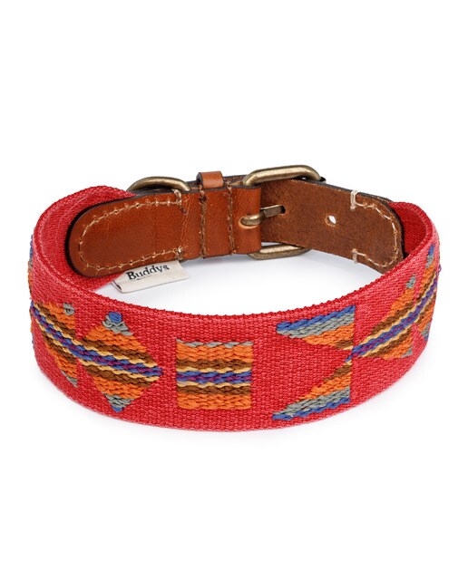 Imagen 2 de Collar Buddys para perros Etna Rojo