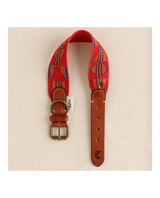 Imagen 3 de Collar Buddys para perros Etna Rojo