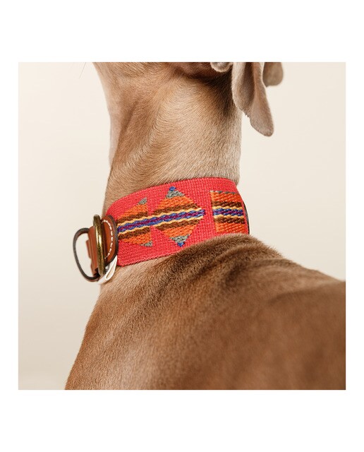 Imagen 4 de Collar Buddys para perros Etna Rojo