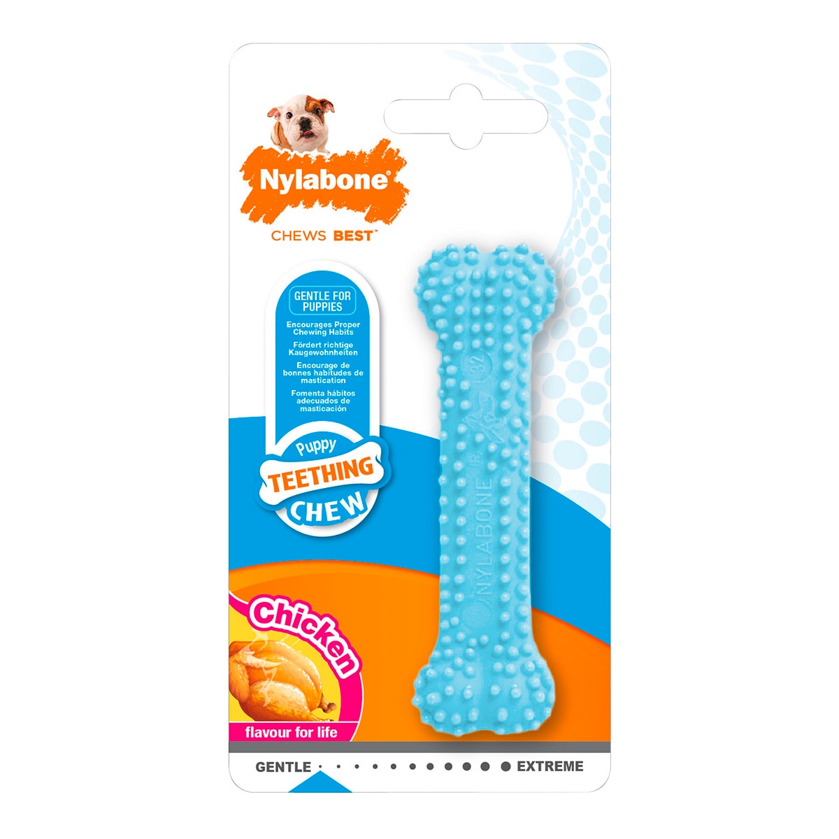 Imagen 0 de Mordedor para perros cachorros blue dental chew Nylabone