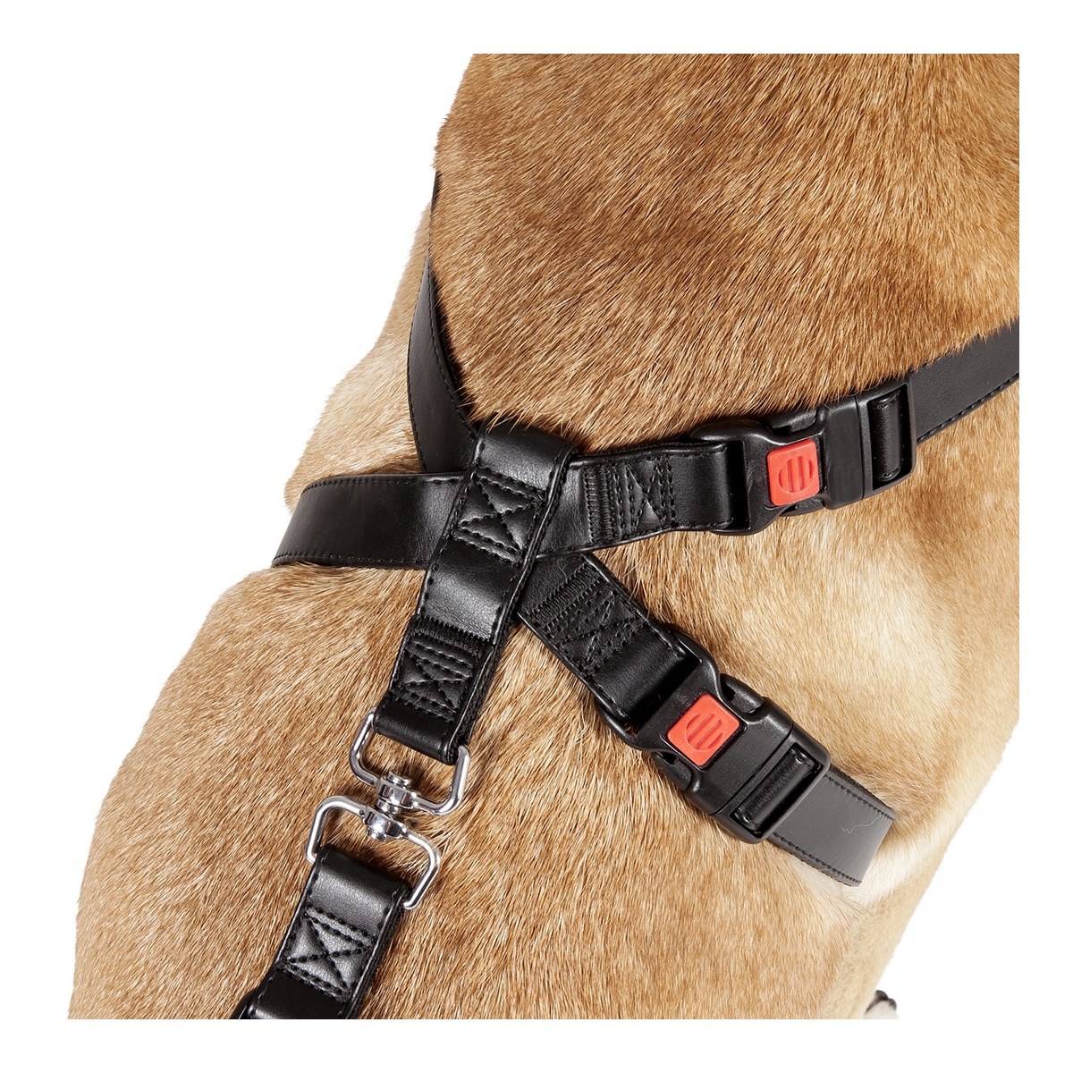 Arnés de seguridad karlie para perros de nylon para el coche talla L Flamingo Negro-3