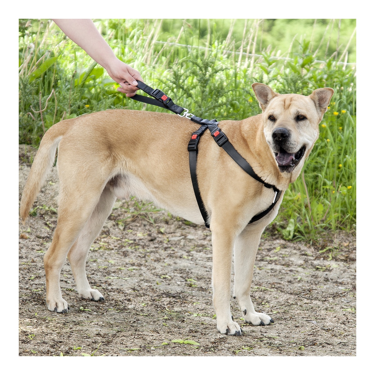 Arnés de seguridad karlie para perros de nylon para el coche talla L Flamingo Negro-4