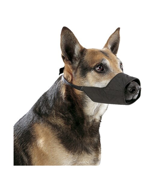 Bozal Kruuse para perros