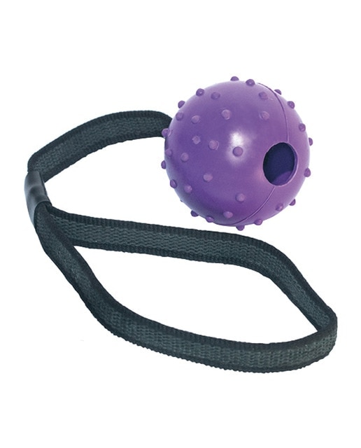 Gloria - Pelota de goma con cinta Gloria para perros