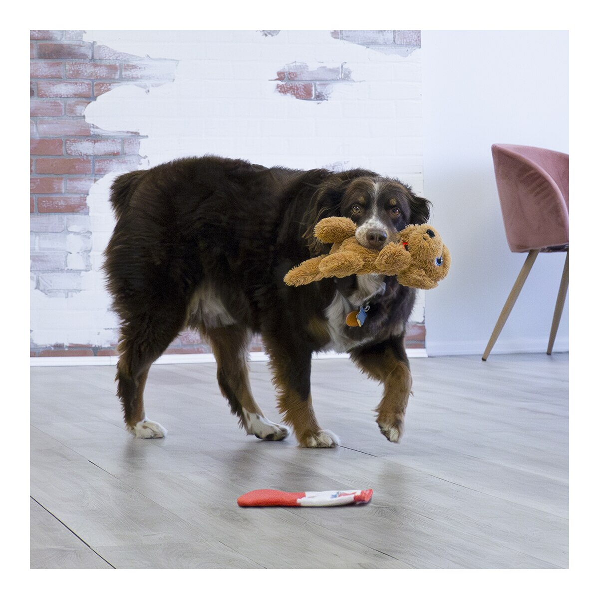 Juguete Comfort Pups Spot para perros Kong 3