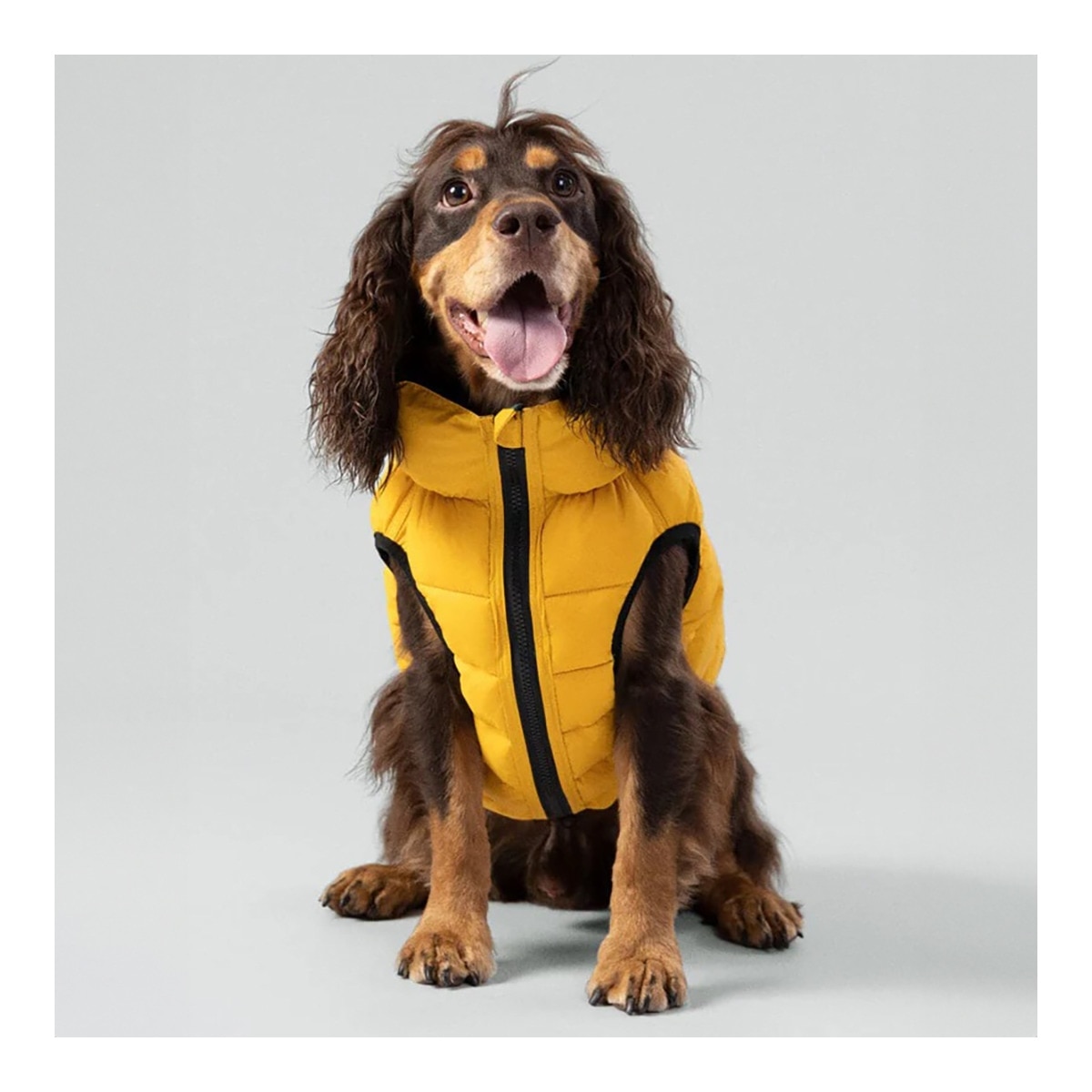 Abrigo acolchado Hackett reversible para perros Verde / Amarillo-2