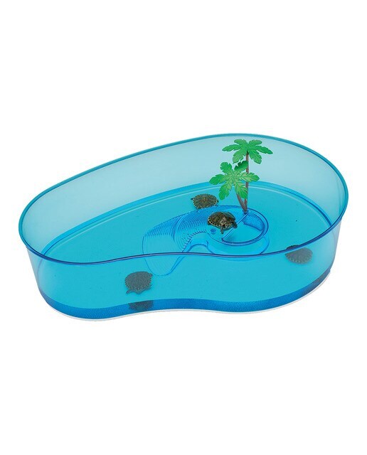 Tortuguera Imac Virgola