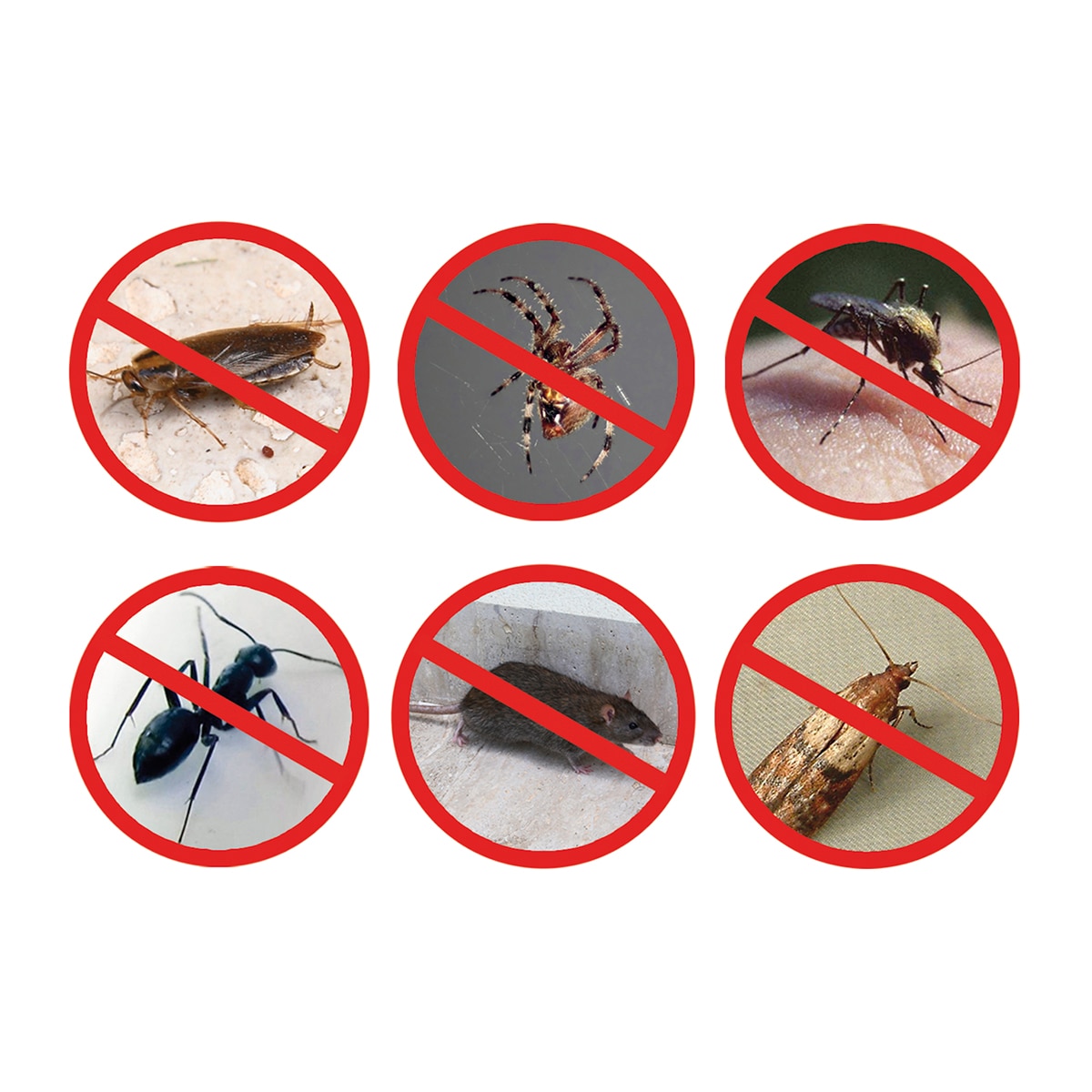 Ahuyentador Pest Reject Pro para insectos, roedores e insectos voladores 5