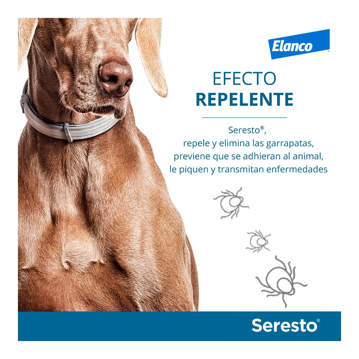 Seresto 4,50 g + 2,03 g collar medicamentoso para perros de más de 8 kg. 7