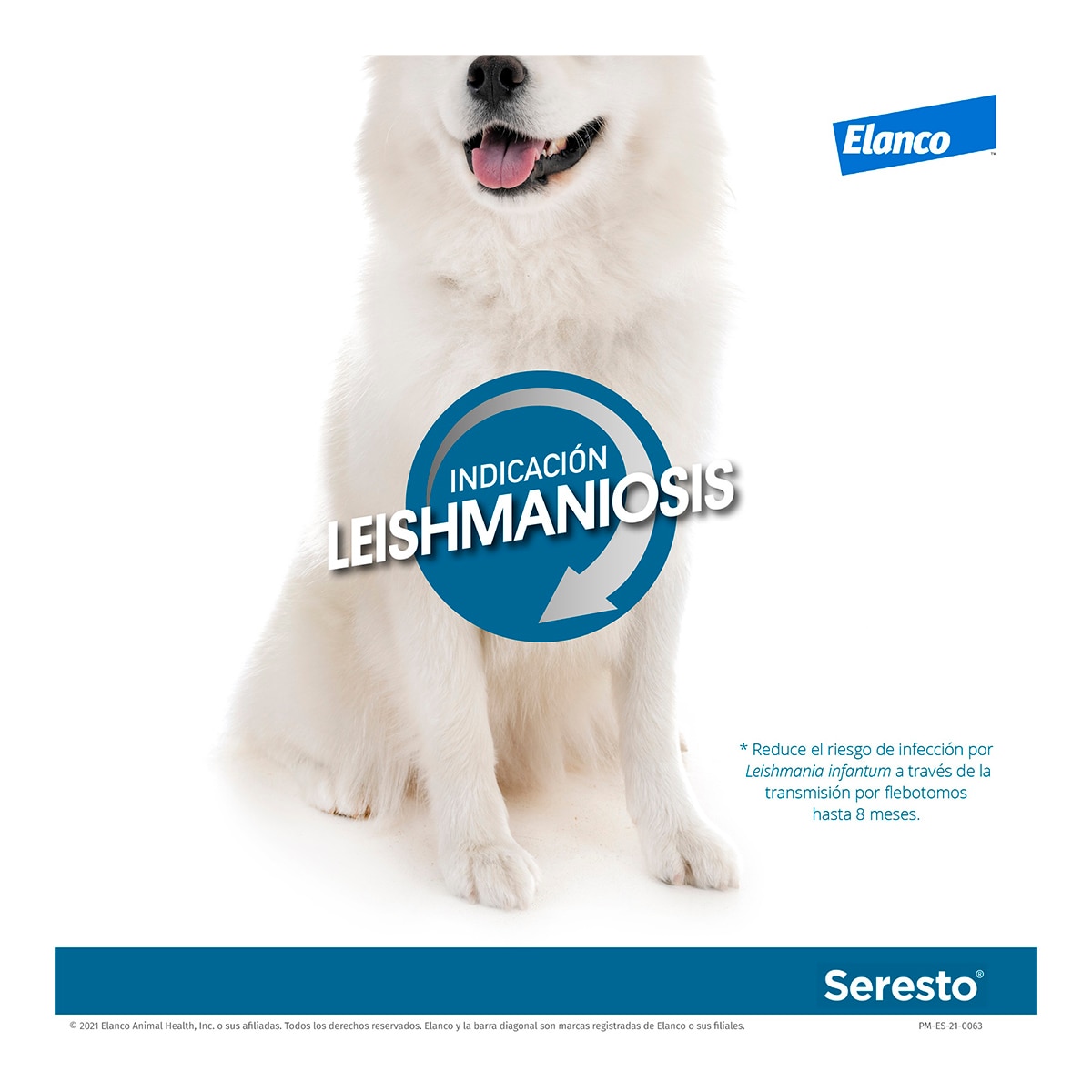 Seresto 4,50 g + 2,03 g collar medicamentoso para perros de más de 8 kg. 10