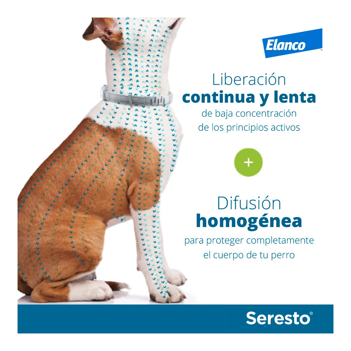 Seresto 1,25 g + 0,56 g collar medicamentoso para perros 8 kg 3