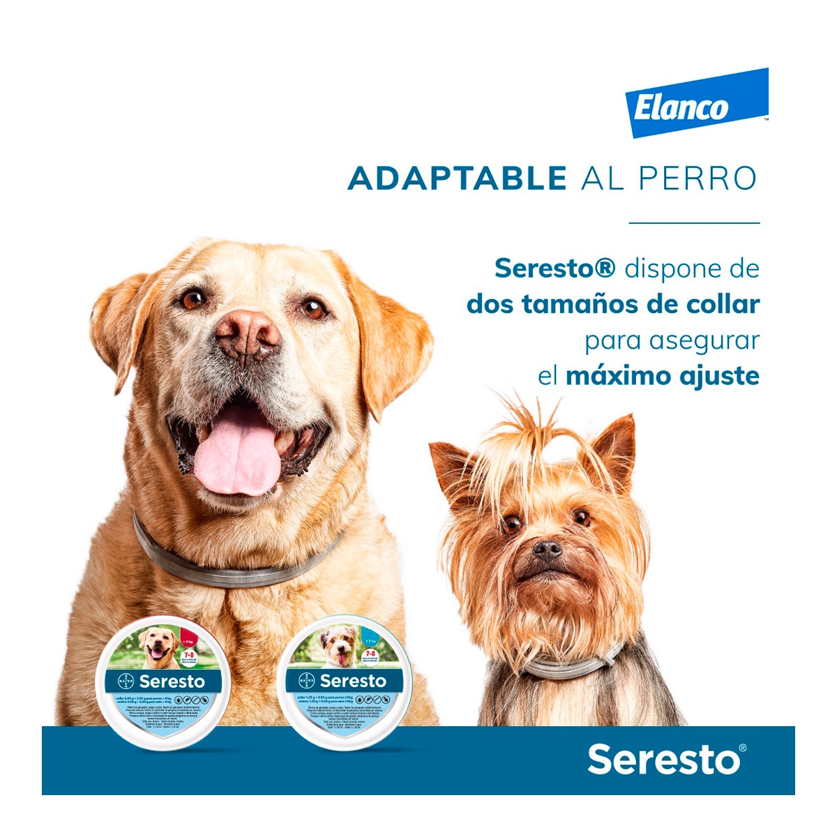 Seresto 1,25 g + 0,56 g collar medicamentoso para perros 8 kg 5