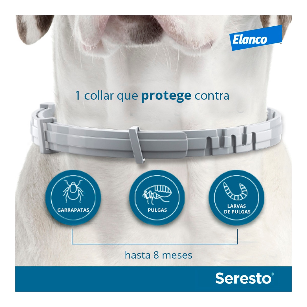 Seresto 1,25 g + 0,56 g collar medicamentoso para perros 8 kg 6