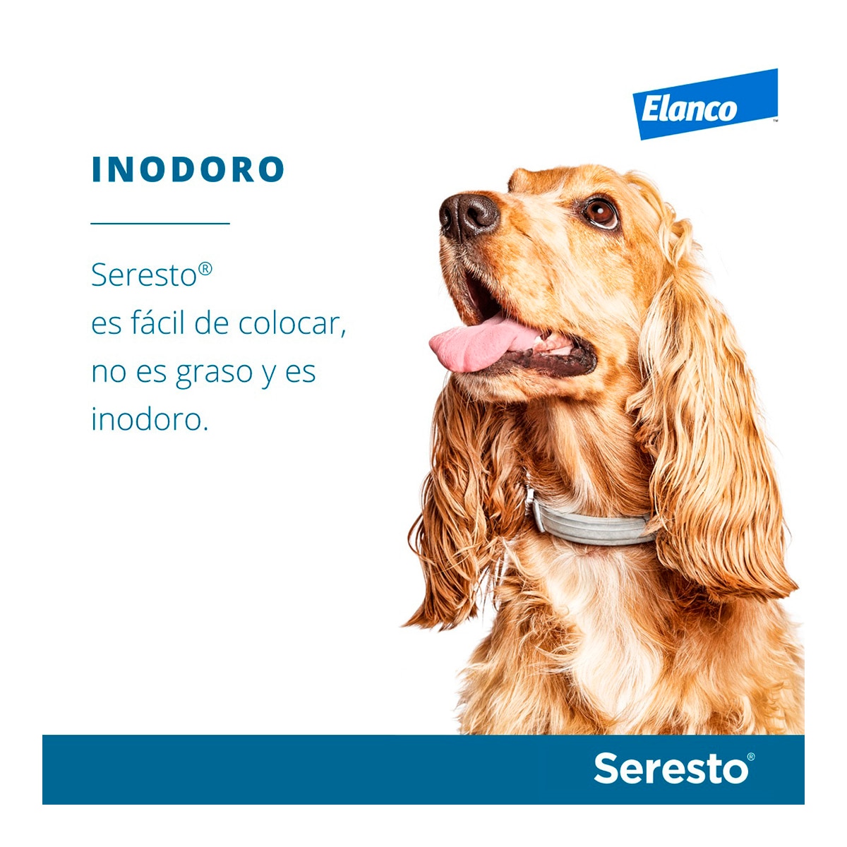 Seresto 1,25 g + 0,56 g collar medicamentoso para perros 8 kg 9