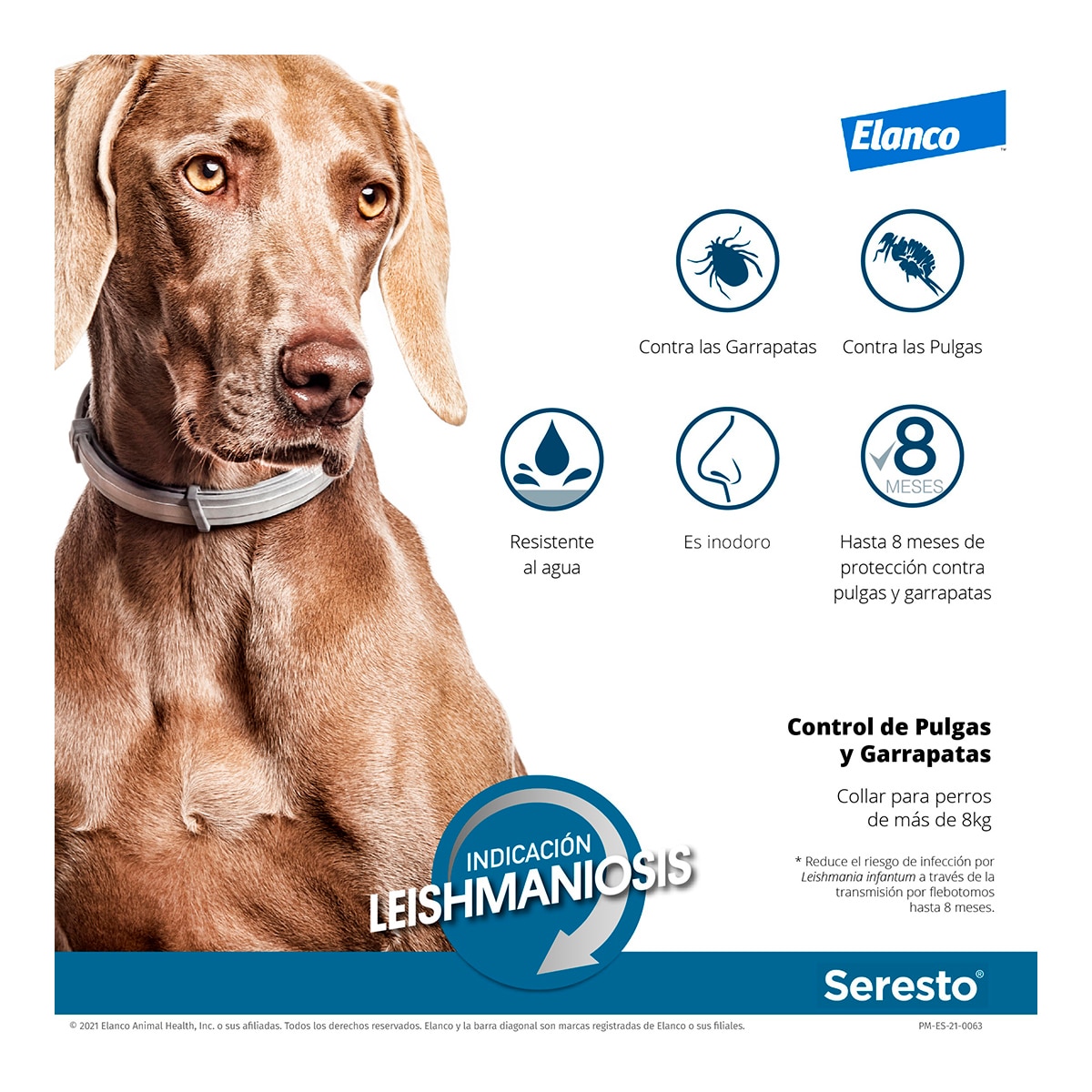 Seresto 1,25 g + 0,56 g collar medicamentoso para perros 8 kg 11