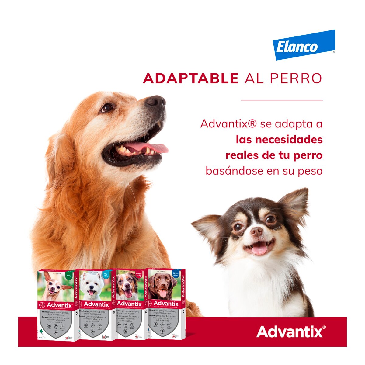 Advantix 40 mg + 200 mg solución spot-on para perros (< 4 kg) 6