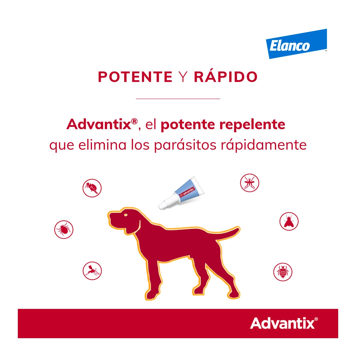 Advantix 250 mg + 1250 mg solución spot-on para perros (> 10 kg <25 kg) 7