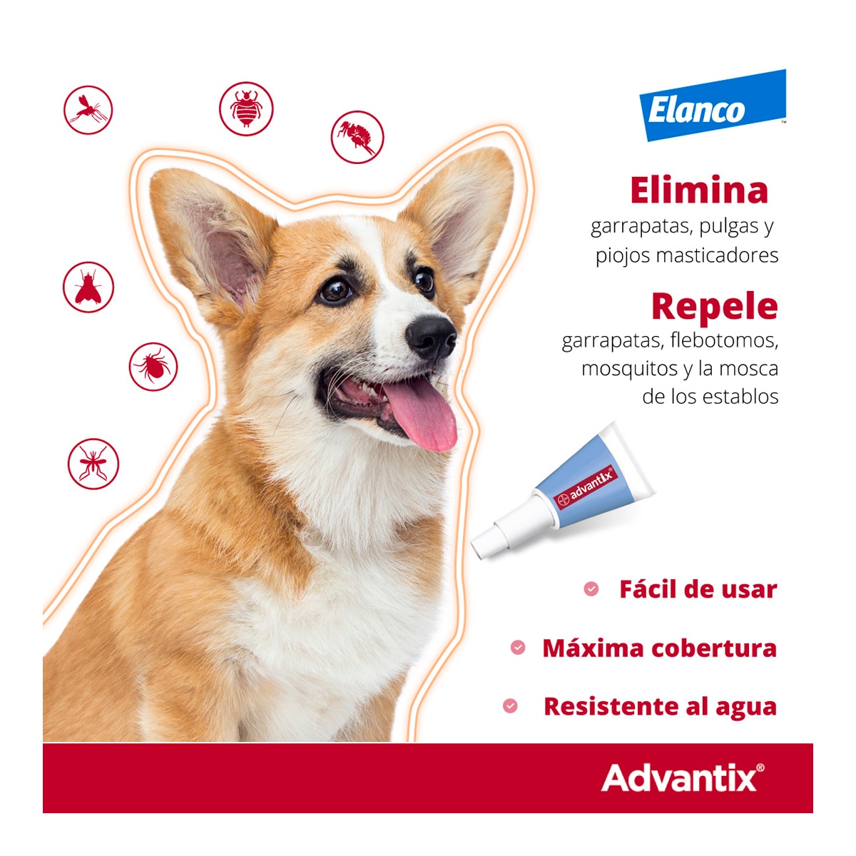Advantix 400 mg + 2000 mg solución spot-on para perros (> 25 kg <40 kg) 2