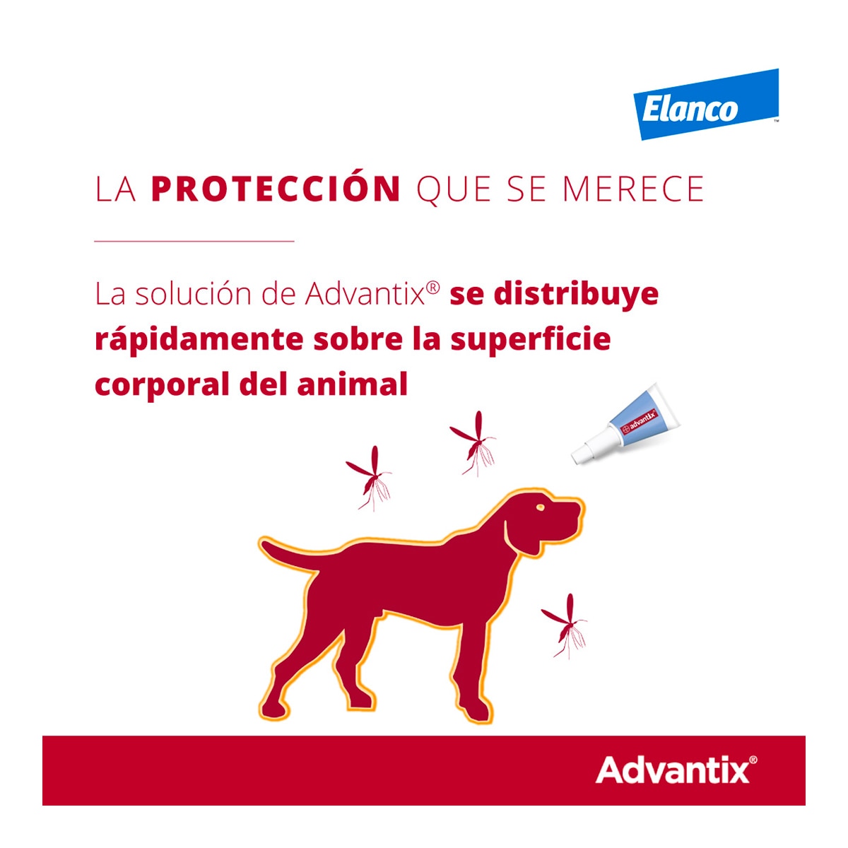 Advantix 400 mg + 2000 mg solución spot-on para perros (> 25 kg <40 kg) 4