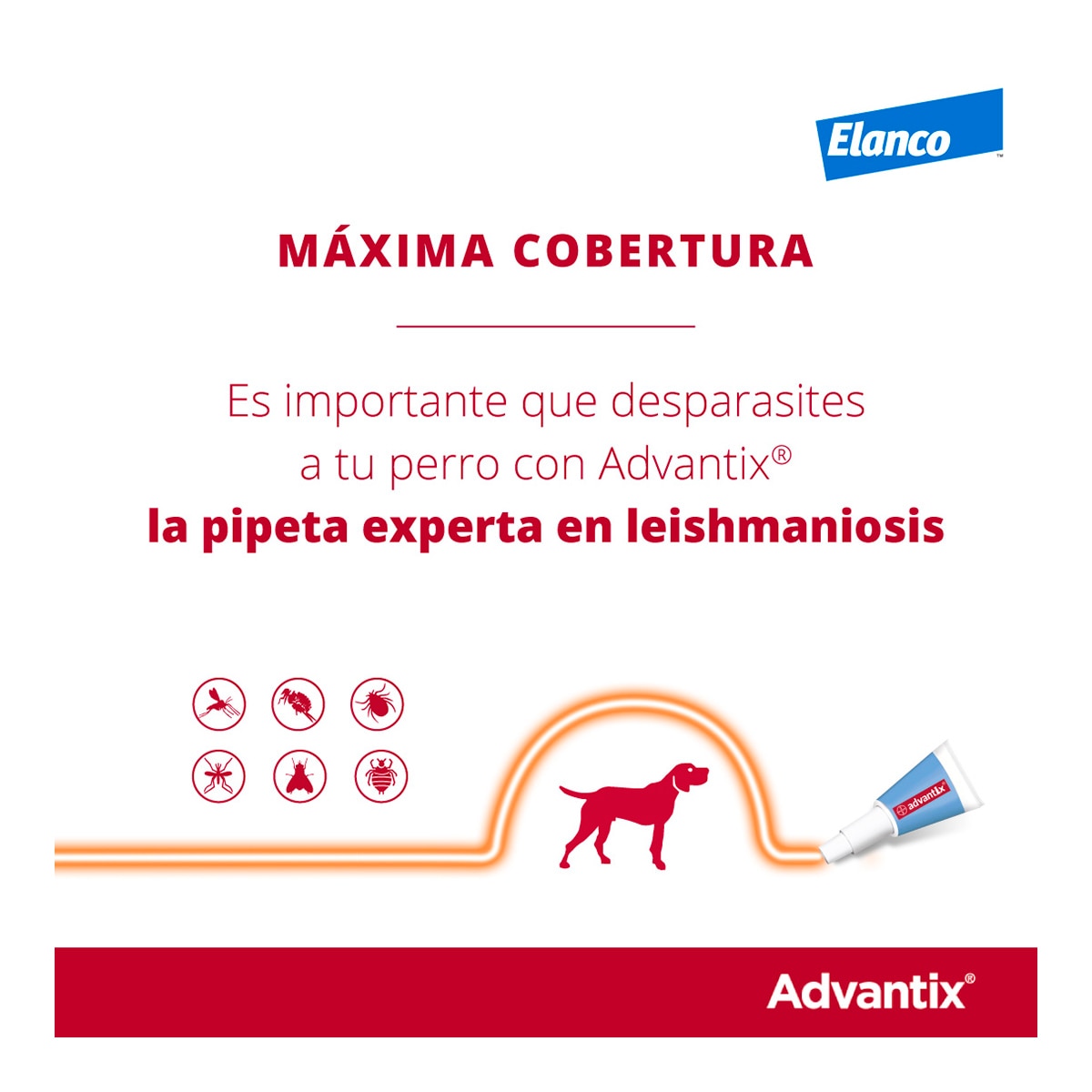 Advantix 400 mg + 2000 mg solución spot-on para perros (> 25 kg <40 kg) 5
