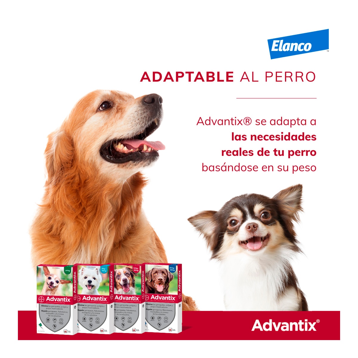 Advantix 400 mg + 2000 mg solución spot-on para perros (> 25 kg <40 kg) 6