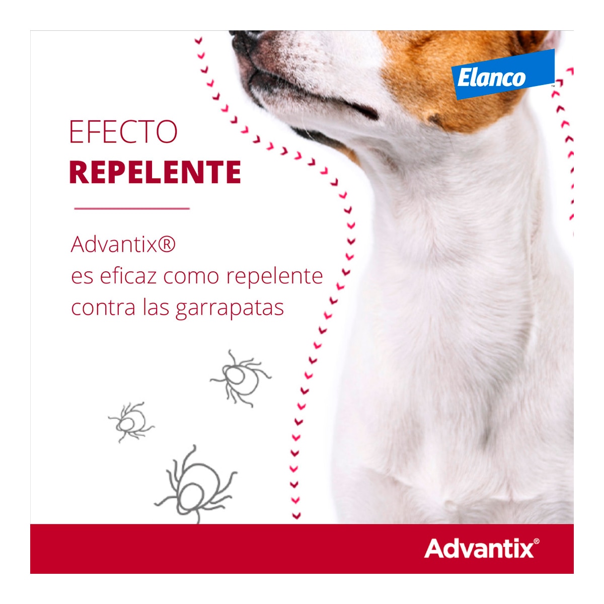 Advantix 400 mg + 2000 mg solución spot-on para perros (> 25 kg <40 kg) 8