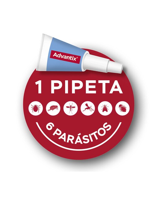 Advantix 400 mg + 2000 mg solución spot-on para perros (> 25 kg <40 kg) 10